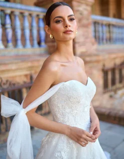 Dani